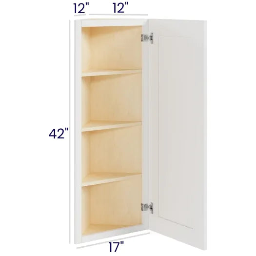 Angle Wall Cabinet (CS2)